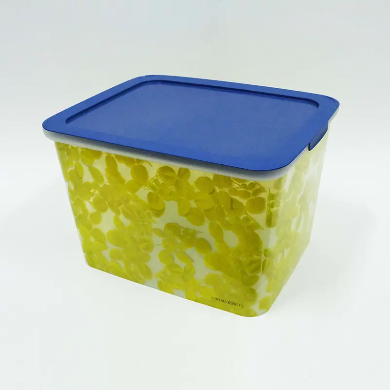 IML Label Injection Molding para sa PP Storage Box
